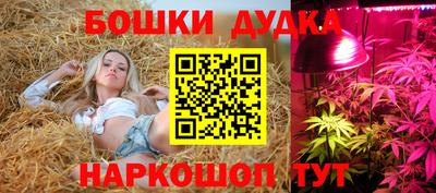 сатива Балахна