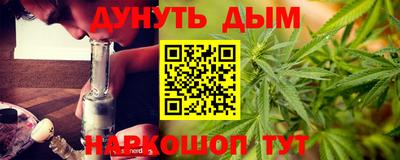 сатива Балахна