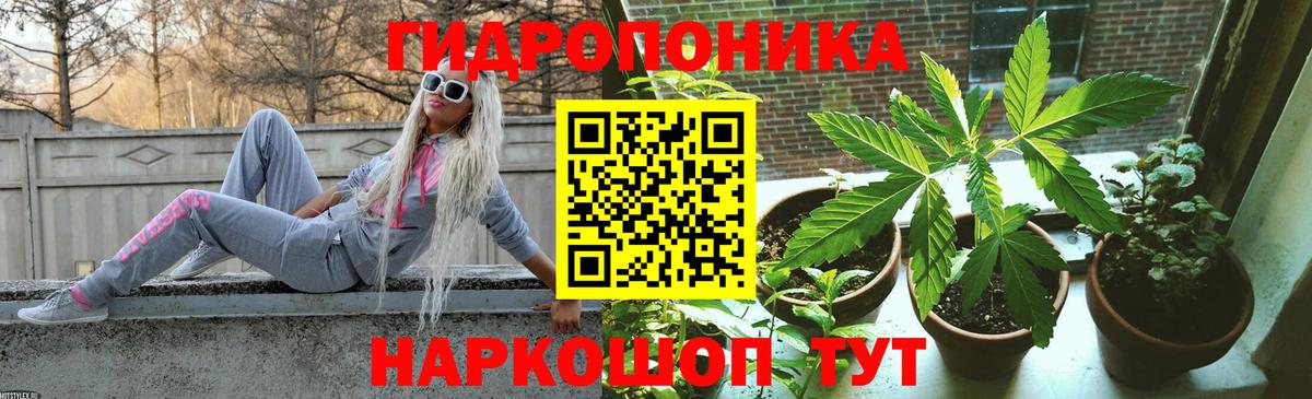 Каннабис сатива  Вход с VPN  Марихуана планчик  Каннабис план  Дубна 